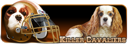 killer_mini