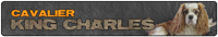 king_charles